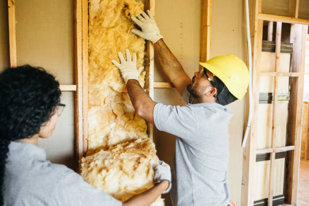 Best Insulation for New Construction  in Towamensing Trails, PA